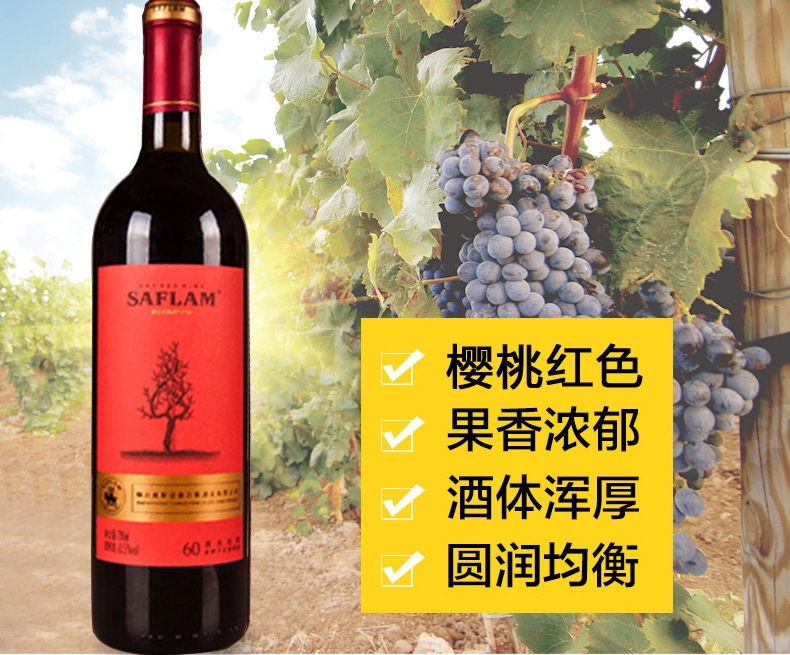 西夫拉姆SIFRAM品牌logo與食品包裝設(shè)計(jì)欣賞(圖3)