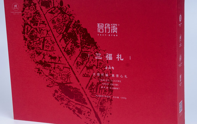 碧丹溪品牌logo與食品包裝設(shè)計(jì)欣賞(圖4)