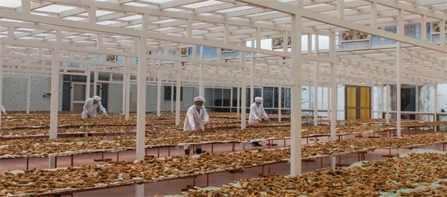 藍(lán)天果蔬品牌logo與食品包裝設(shè)計欣賞(圖4)