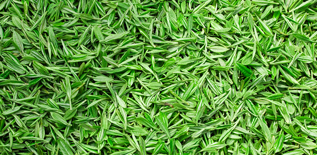 金潤茶業(yè)品牌logo與食品包裝設(shè)計欣賞(圖2)