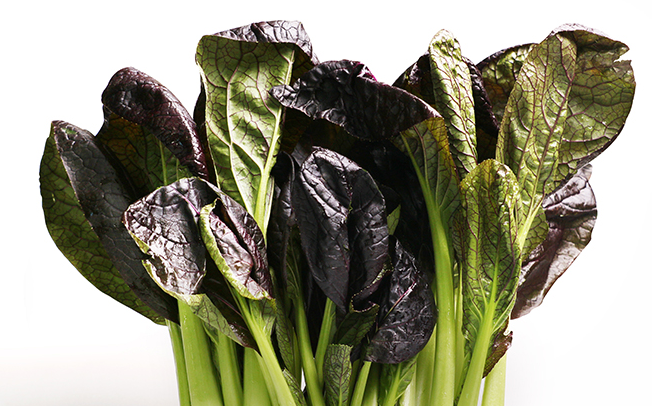 上膳源品牌logo與食品包裝設(shè)計(jì)欣賞(圖3)