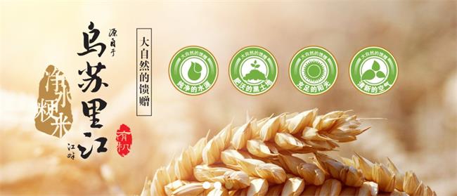 中順凈水品牌logo與食品包裝設(shè)計(jì)欣賞(圖2)