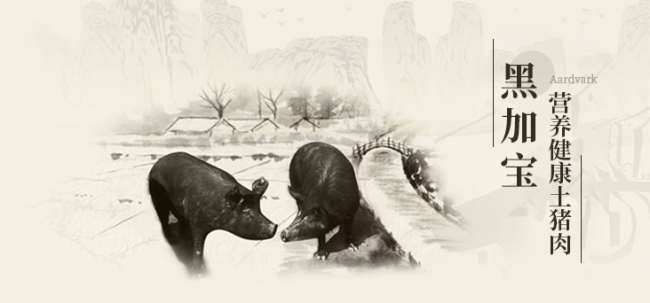 黑加寶品牌logo與食品包裝設(shè)計(jì)欣賞(圖3)