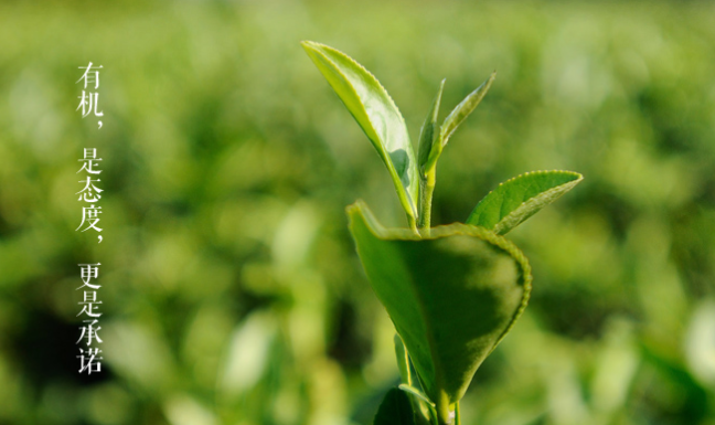 瀏園春 瀏園春品牌logo與食品包裝設(shè)計(jì)欣賞(圖3)