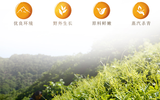 硒谷臻茗品牌logo與食品包裝設計欣賞(圖3)