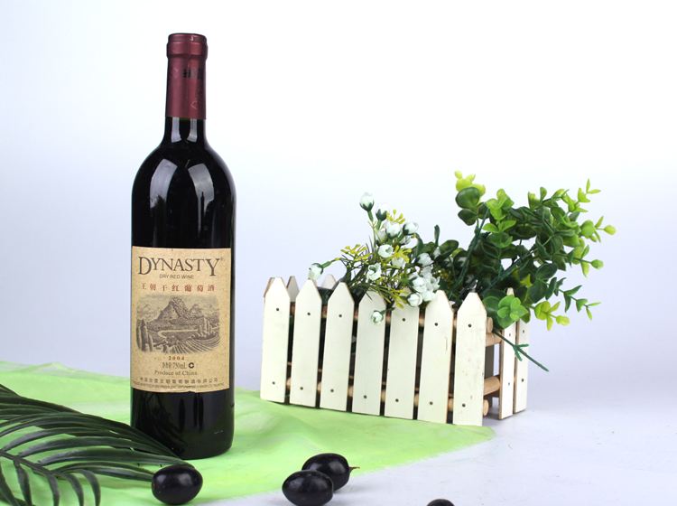 王朝Dynasty品牌logo與食品包裝設(shè)計欣賞(圖3)