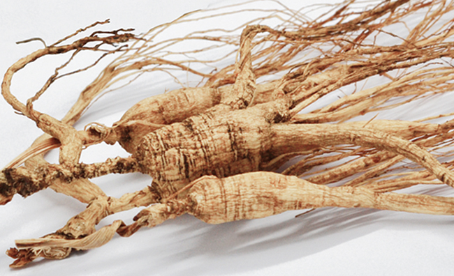 吉韓莊 吉韓莊品牌logo與食品包裝設(shè)計欣賞(圖4)