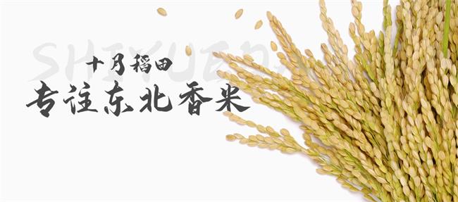 十月稻田大米 十月稻田食品包裝設(shè)計(jì)欣賞(圖3)