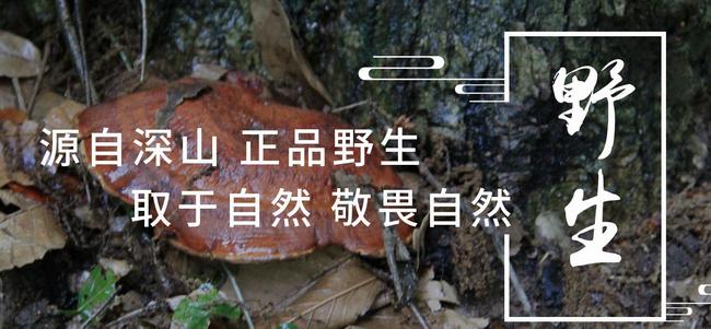 黃山云樂 黃山云樂食品包裝設(shè)計欣賞(圖2)