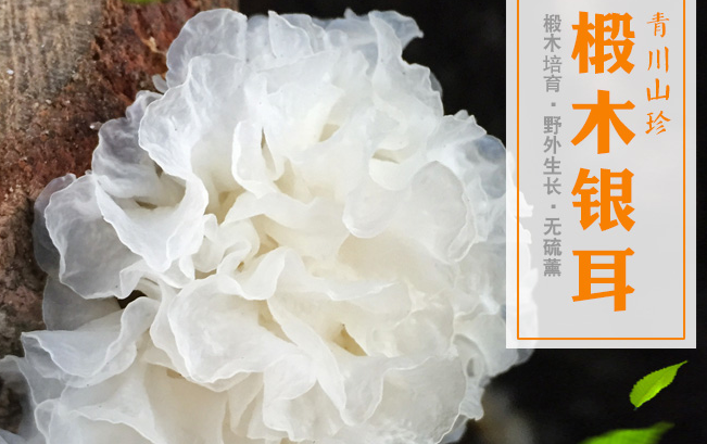 川珍食品包裝設(shè)計(jì)欣賞(圖2)