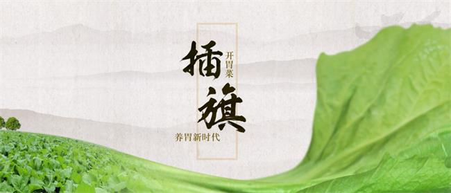 插旗食品包裝設(shè)計欣賞(圖2)