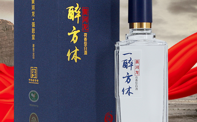 黃河龍食品包裝設(shè)計(jì)欣賞(圖4)