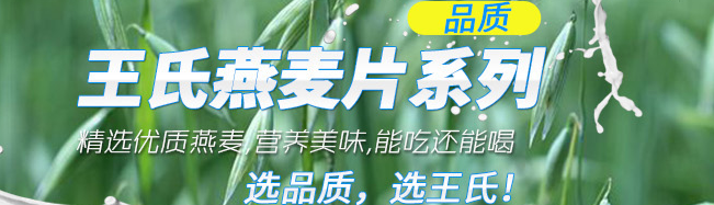 王氏 WANGSHI王氏食品包裝設(shè)計(jì)欣賞(圖4)