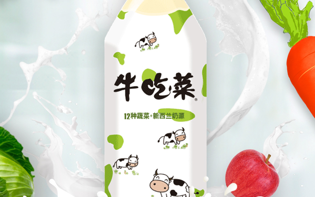 貝奇食品包裝設(shè)計欣賞(圖2)