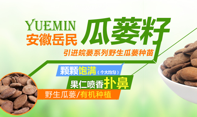 YUEMIN岳民食品包裝設(shè)計(jì)欣賞(圖3)