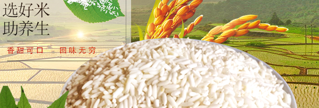 徐橋食品包裝設(shè)計欣賞(圖3)